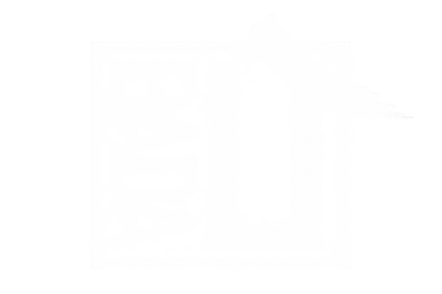 Bada Lì Disco Club